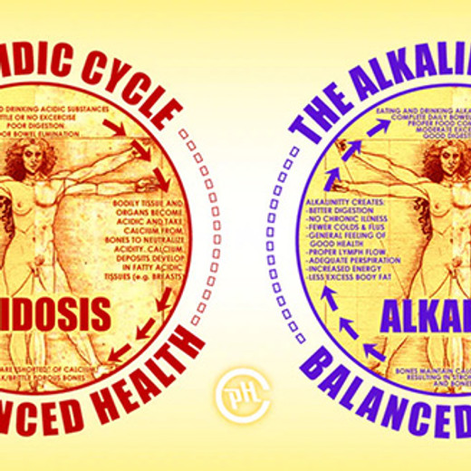 Acid / Alkaline Cycle of the Body